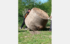 Concours de force, 2e candidat Haron