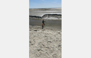 Dommage c'était marée basse